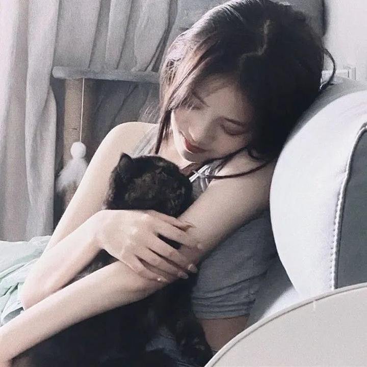 霹雳皇龙纪